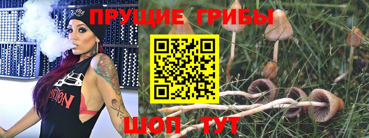 Псилоцибиновые грибы Cubensis  Вход с VPN  Родники  Галлюциногенные грибы GOLDEN TEACHER 